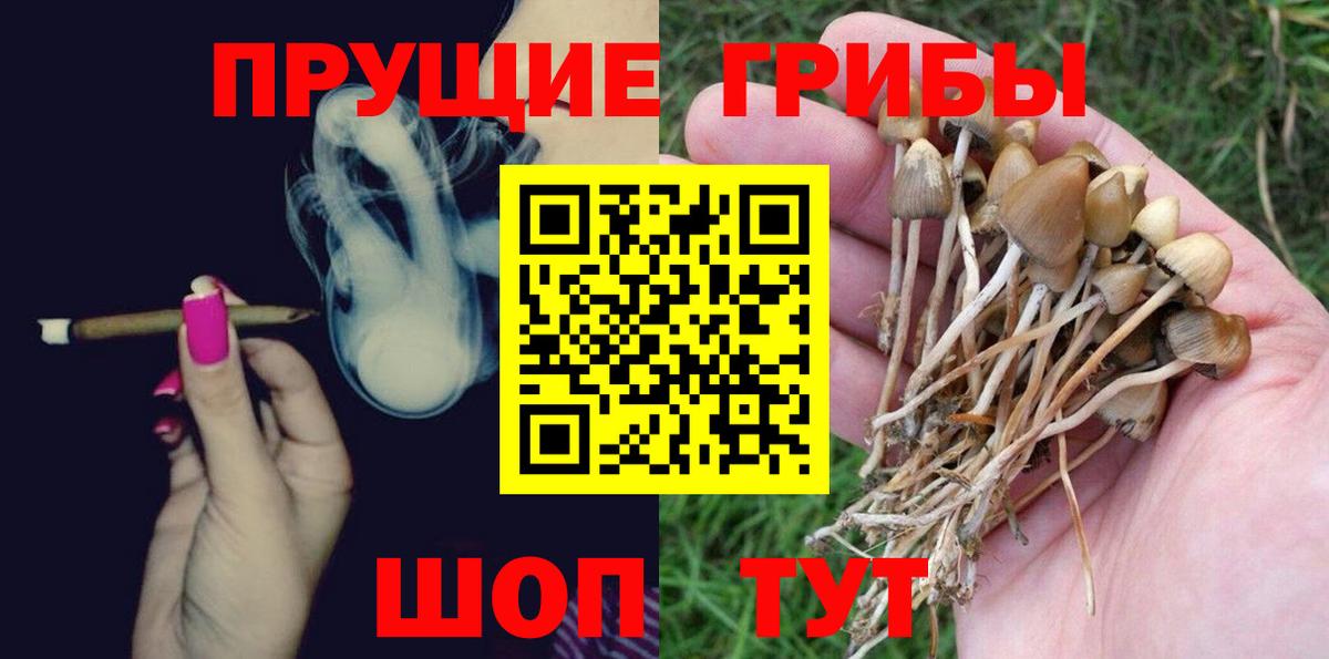 Псилоцибиновые грибы прущие грибы  Галлюциногенные грибы Cubensis  хочу наркоту  Вход с VPN  Шумерля 